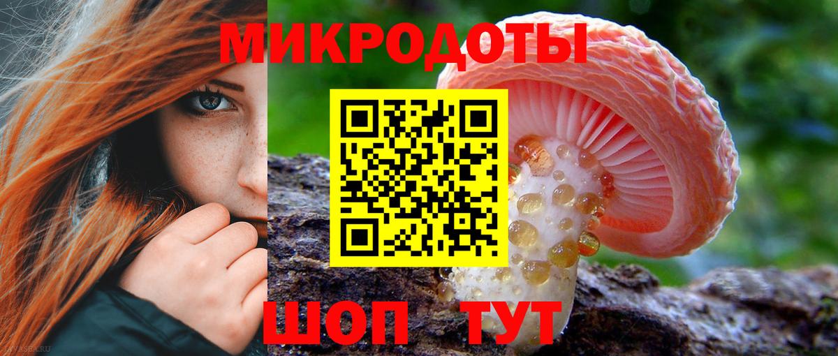Муравленко  Псилоцибиновые грибы Psilocybe  купить  цена  Вход с VPN 